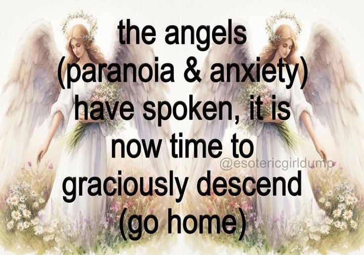 A mirrored picture of a beautiful angel collecting flowers overlapped by text reading 'the angels (paranoia & anxiety) have spoken, it is now time to graciously descend (go home)'