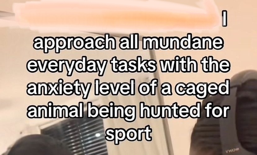 Text reading 'I approach all mundane everyday tasks with the anxiety level of a caged animal being hunted for sport'.