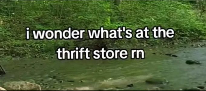 'i wonder what's at the thrift store rn'
