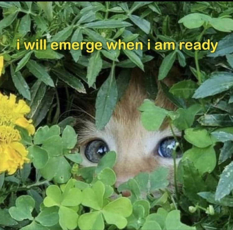 Cat hiding in plants and flowers with its eyes visible with a yellow caption reading 'i will emerge when i am ready'