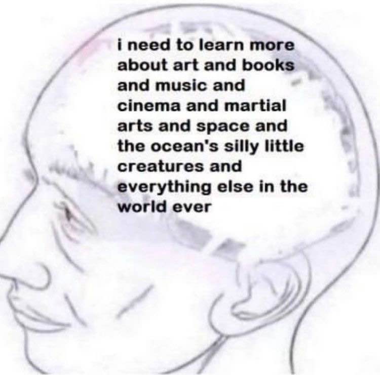 Stressed person with the text 'i need to learn more about art and books and music and cinema and martial arts and space and the ocean's silly little creatures and everything else in the world ever' in place of their brain