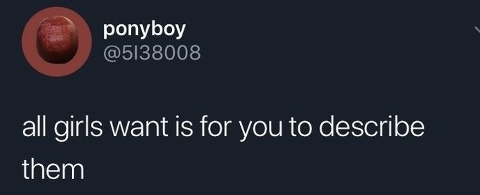 tweet reading 'all girls want is for you to describe them'