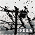 crows