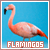 flamingos