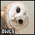 owls