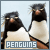 penguins
