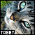 tabby